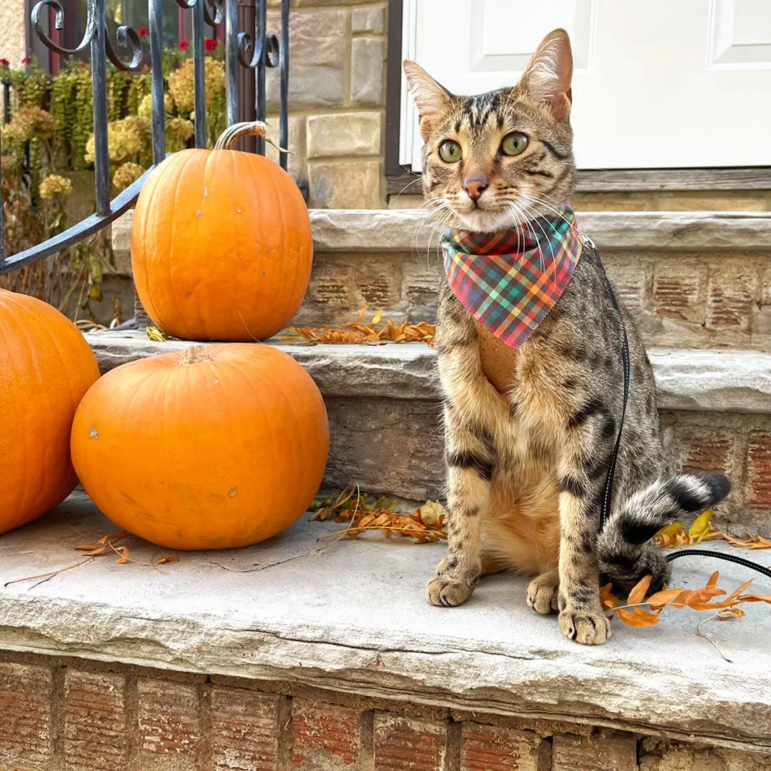 Pet Bandana - "Campfire" - Smoky Rainbow Plaid Bandana for Cat   Small Dog / Wedding, Fall, Autumn, Thanksgiving / Slide-on Bandana / Over-the-Collar (One Size)