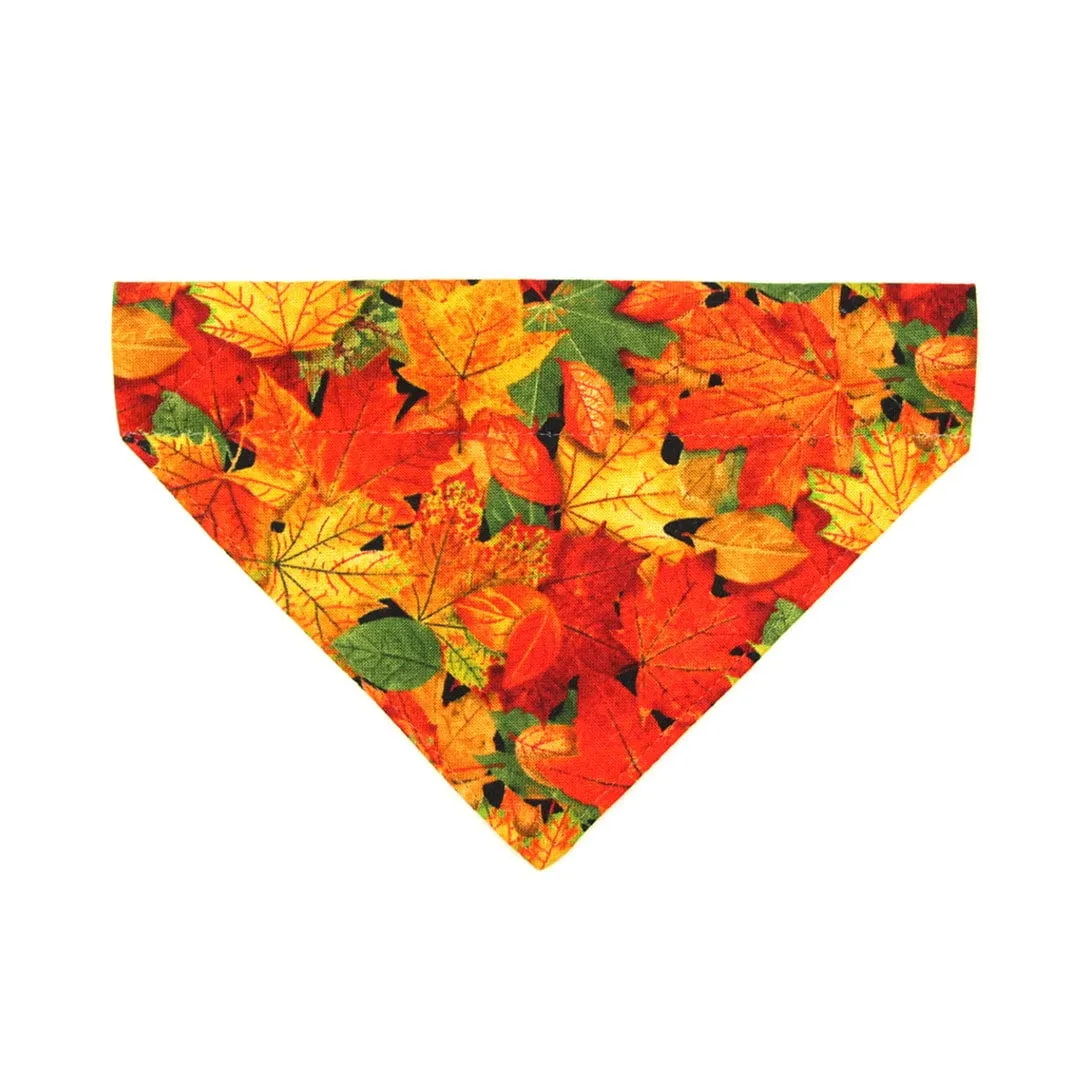 Pet Bandana - "Forever Fall" - Autumn Leaves Bandana for Cat   Small Dog / Slide-on Bandana / Over-the-Collar (One Size)