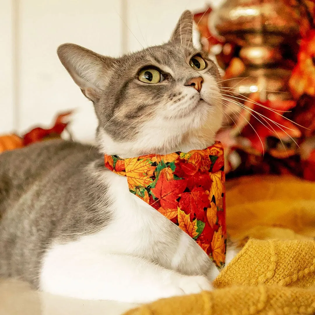 Pet Bandana - "Forever Fall" - Autumn Leaves Bandana for Cat   Small Dog / Slide-on Bandana / Over-the-Collar (One Size)