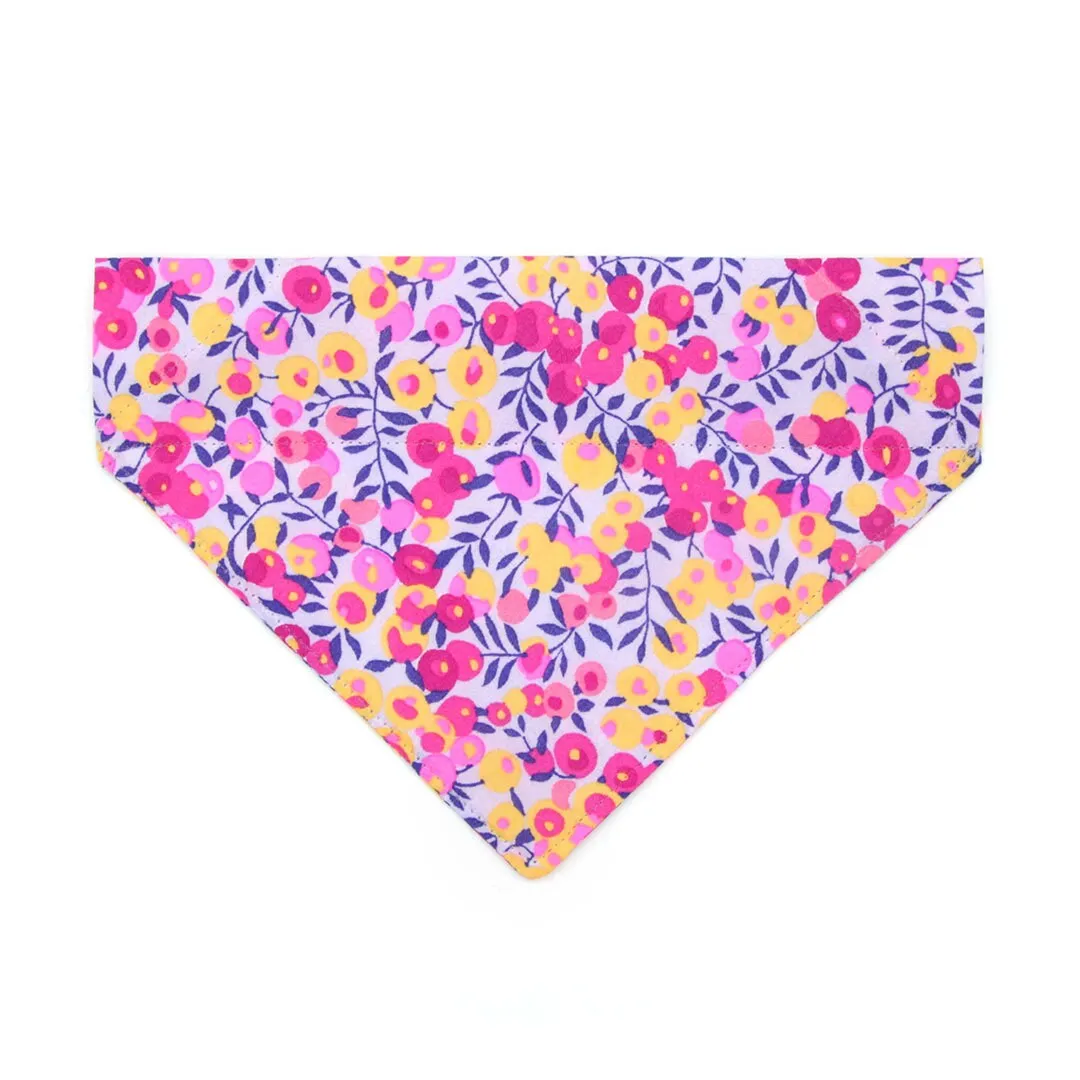 Pet Bandana - "Margeaux" - Liberty Of London® Floral Bandana for Cat   Small Dog / Neon Pink & Purple / Slide-on Bandana / Over-the-Collar (One Size)