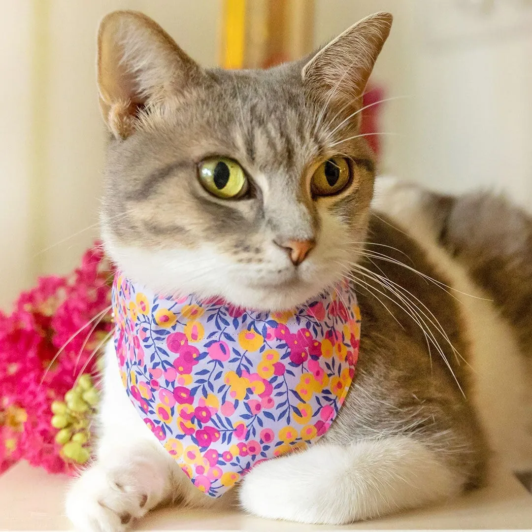 Pet Bandana - "Margeaux" - Liberty Of London® Floral Bandana for Cat   Small Dog / Neon Pink & Purple / Slide-on Bandana / Over-the-Collar (One Size)