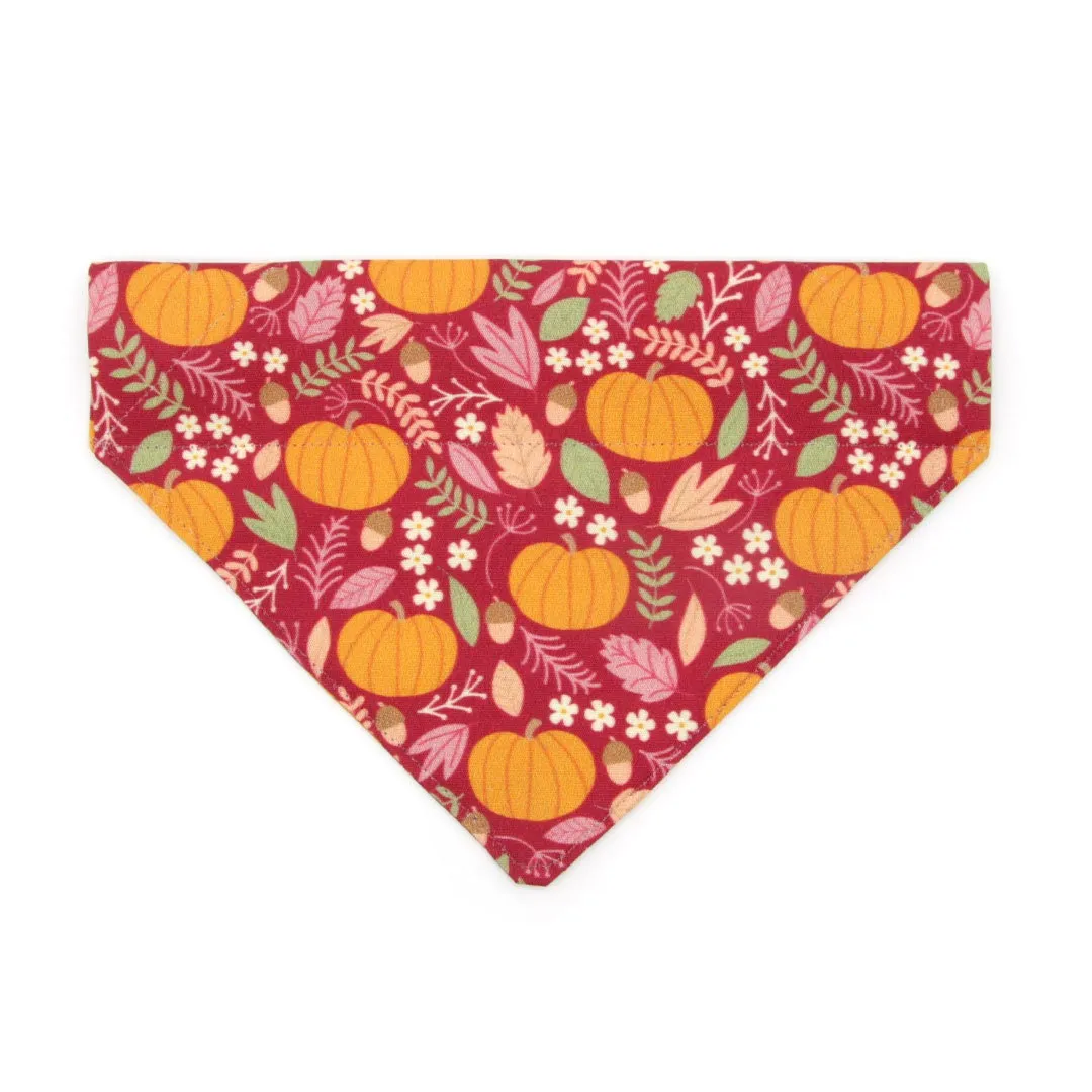 Pet Bandana - "Pumpkin Patch - Cranberry" - Burgundy Autumn Harvest Bandana for Cat   Small Dog / Slide-on Bandana / Over-the-Collar (One Size)