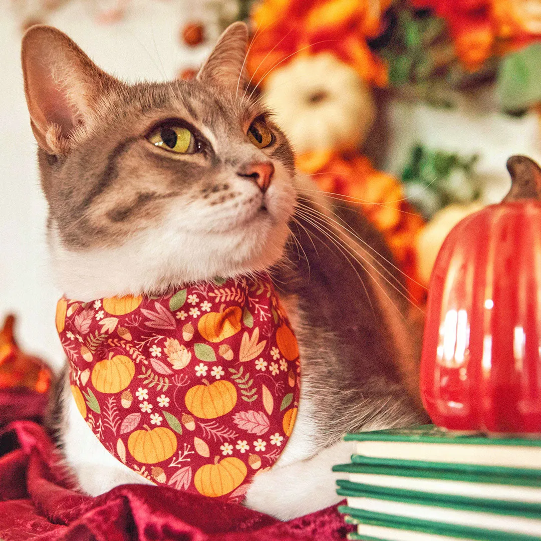 Pet Bandana - "Pumpkin Patch - Cranberry" - Burgundy Autumn Harvest Bandana for Cat   Small Dog / Slide-on Bandana / Over-the-Collar (One Size)