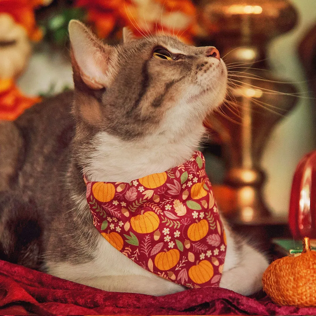 Pet Bandana - "Pumpkin Patch - Cranberry" - Burgundy Autumn Harvest Bandana for Cat   Small Dog / Slide-on Bandana / Over-the-Collar (One Size)