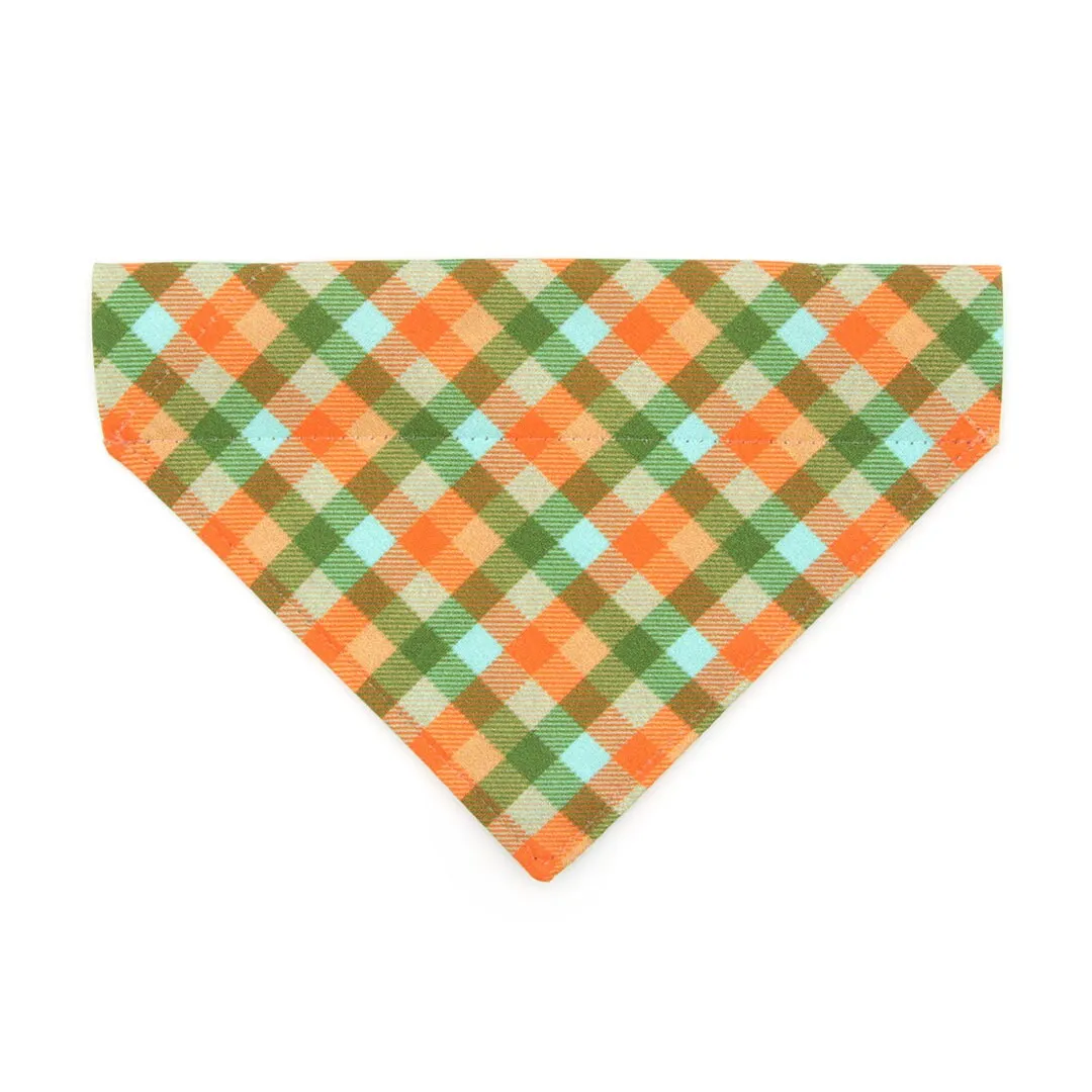 Pet Bandana - "Scenic Route" - Aqua, Green & Orange Plaid Bandana for Cat   Small Dog / Slide-on Bandana / Over-the-Collar (One Size)