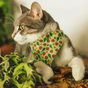 Pet Bandana - "Woodland - Moss" - Pine Cones, Leaves & Acorns Forest Green Bandana for Cat   Small Dog / Slide-on Bandana / Over-the-Collar (One Size)