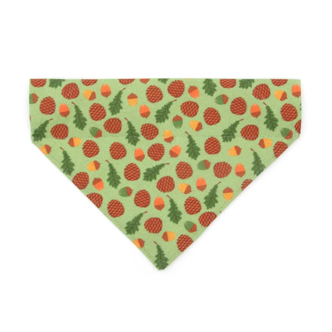 Pet Bandana - "Woodland - Moss" - Pine Cones, Leaves & Acorns Forest Green Bandana for Cat   Small Dog / Slide-on Bandana / Over-the-Collar (One Size)